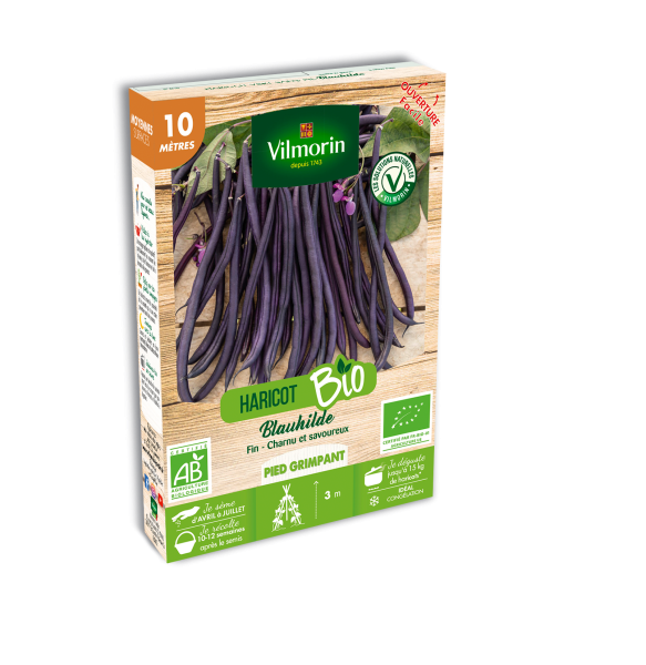 Légumes Secs - Haricot Blauhilde - BIO - PACKAGING_3D_RECTO